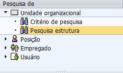 estrutura (6)